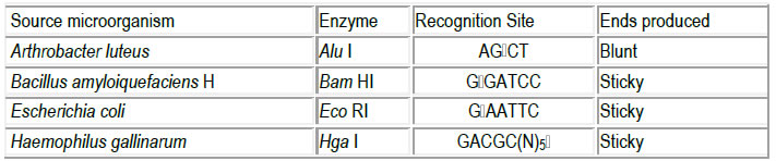 Names of restriction endonucleases